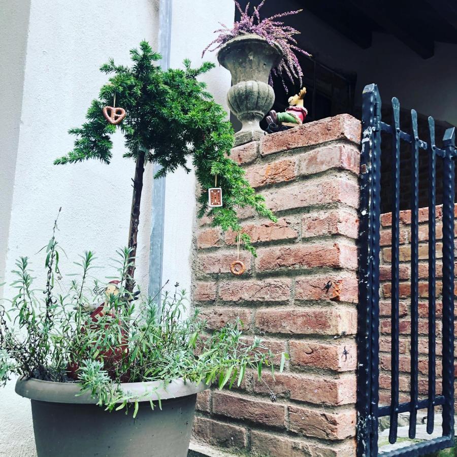 Apartmany Kovacska Košice Exteriör bild