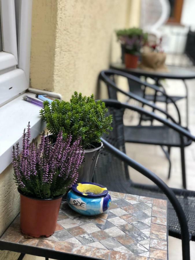 Apartmany Kovacska Košice Exteriör bild